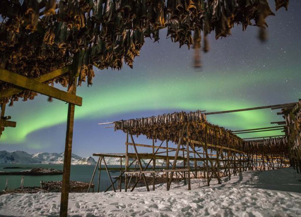 Surfen en Arctische Avonturen: De Kille Romantiek van Oslo